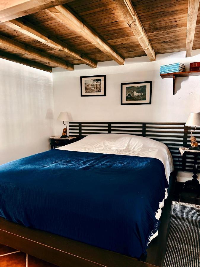 Casa Girassol With A Beautiful Private Pool And Garden Villa Sintra Exterior photo